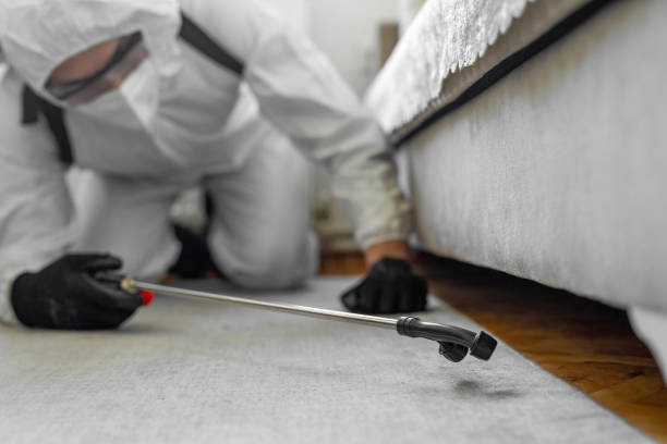 Professional Bed Bug Control technician working in Tysons, VA