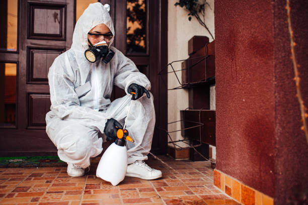 Reliable Bed Bug Control contractor in Tysons, VA by Nex Pest Control